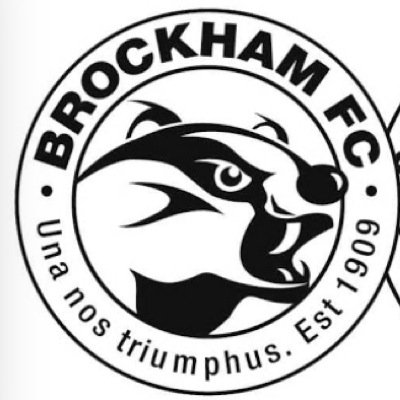 Account for Brockham FC, Fixture & Results, Scorers, Training & Events etc