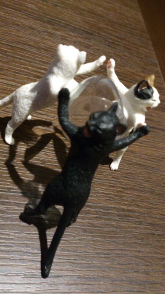 k_black_k's profile picture. 日常と好きな物事をぼそぼそと。 某水曜刑事ドラマが好きだったり二代目さんのベイベーだったり。車に乗ってるニチアサヒーローで沼に片足を突っ込んだ特撮初心者。白い音速ライダーと中の人がドストライク過ぎて少しずつ沼の深みへ。高低は白いチーム推し。煌めいてる💎は青い人推し。からの🎾が始まりました。