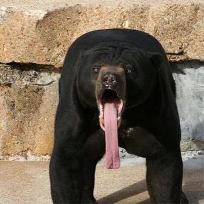 Aaron_is's profile picture. A man in his 30s that agrees more and more each day that youth is wasted on the young