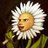 pyvogovunoxa's profile image