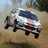 ralliturk's profile image
