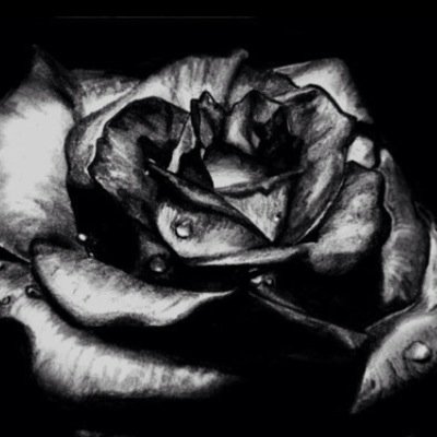 tracymhoney's profile picture. confident