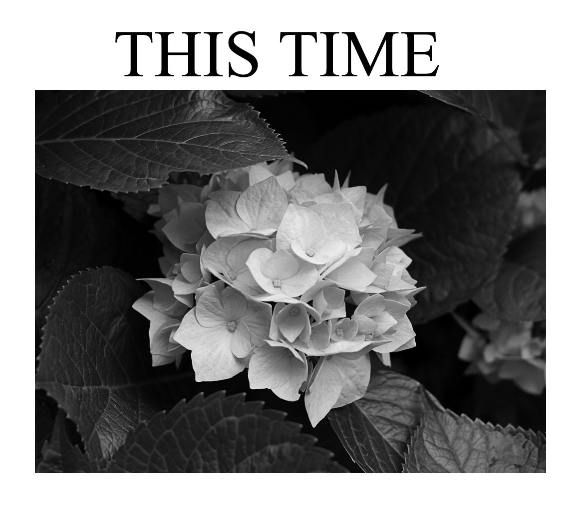 THISfuckinTIME's profile picture. A Melodic Hardcore Punk | Demo 2014 (Unrelease)