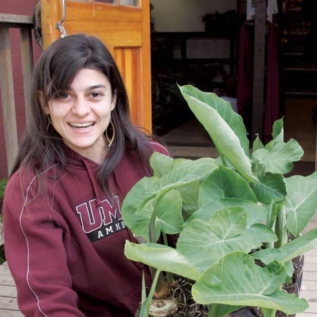 The UMass Amherst Urban Agriculture and Nutrition Program is a holistic initiative to increase fruit and vegetable consumption of residents in Worcester MA.