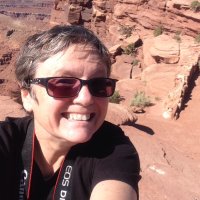 Robin Larsen (@rlarsenlib) 's Twitter Profile