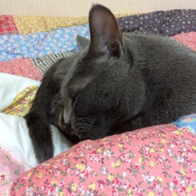 AilyJ126's profile picture. 