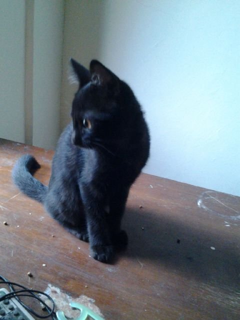 gilangpratiwi27's profile picture. I am a student of English Department, Teaching and Training Education Faculty, Sultan Ageng Tirtayasa University