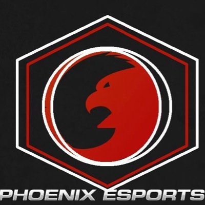 we're a gaming community we like to see our selfs as a hard working compative clan we follow back and were mostly based on ps3 :)