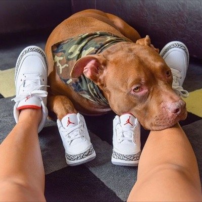 follow my original account @kixco for the latest sneaker updates and posts