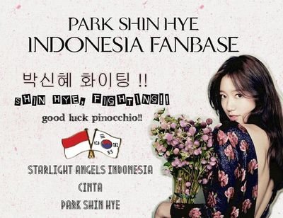 Park Shin Hye's Indonesia Fanbase