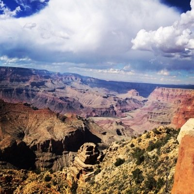 GorillaAthletic's profile picture. 