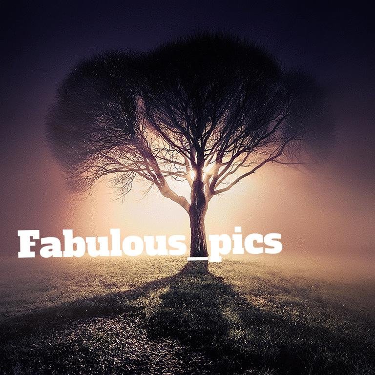 Fabulous_pics's profile picture. Inspiring you with Fabulous pictures. Have a great picture yourself? Tweet them to us and we may share it.