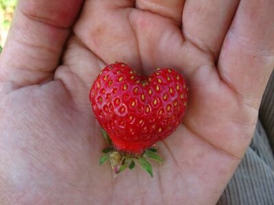 mauvemarauder's profile picture. video jockey. bass hound. coffee connoisseur. ubiquitous wool wearer. hopeful small farmer. festival coordinator.