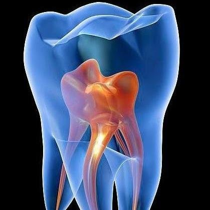 Best Dental Office In New York City!