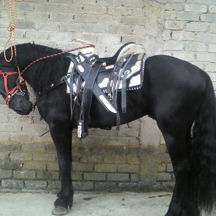 LASIERRA131's profile picture. 