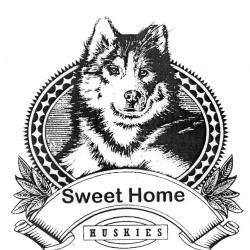 SHHSHuskyPride's profile picture. Sweet Home High School twitter page ran by SHHS Leadership ▪️ Instagram & Snapchat: SHHSHuskyPride #shhshuskypride ‼️