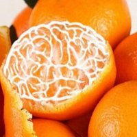 Juan Nacher (@neuronacher) 's Twitter Profile