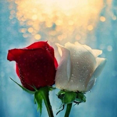 kaka8388kaka's profile picture. 