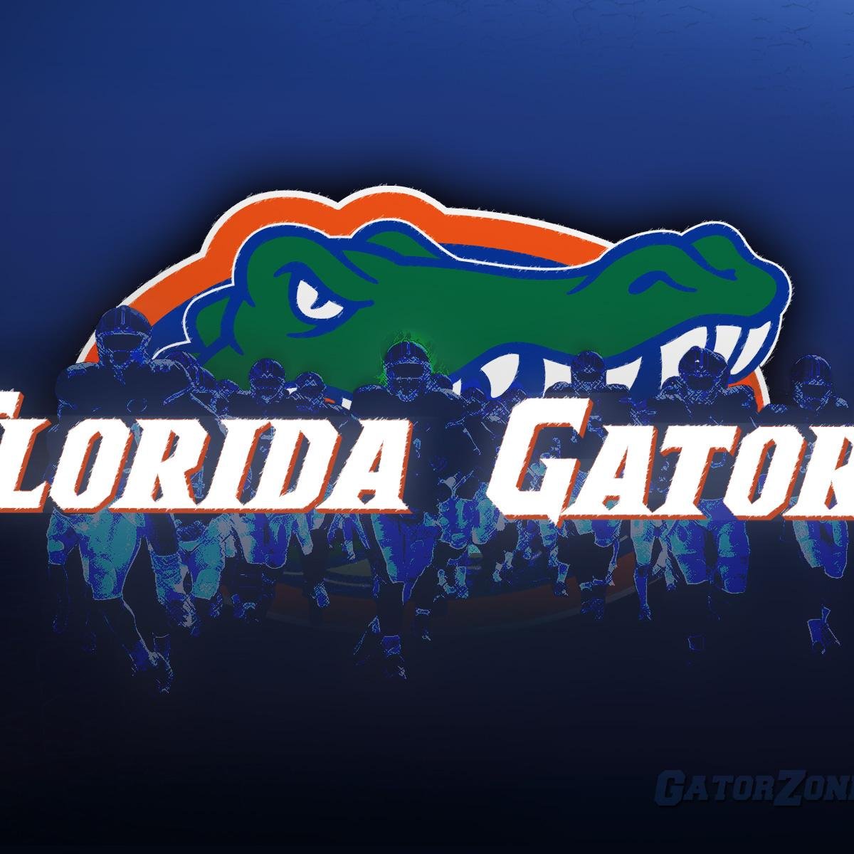 We promote cheap gator shirts created by fellow members of #GatorNation. Send us a link to a shirt you have created and we will help promote them!