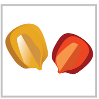 MaizeGDB (@maizegdb) 's Twitter Profile Photo MaizeGDB (@maizegdb) 's Twitter Profile Photo