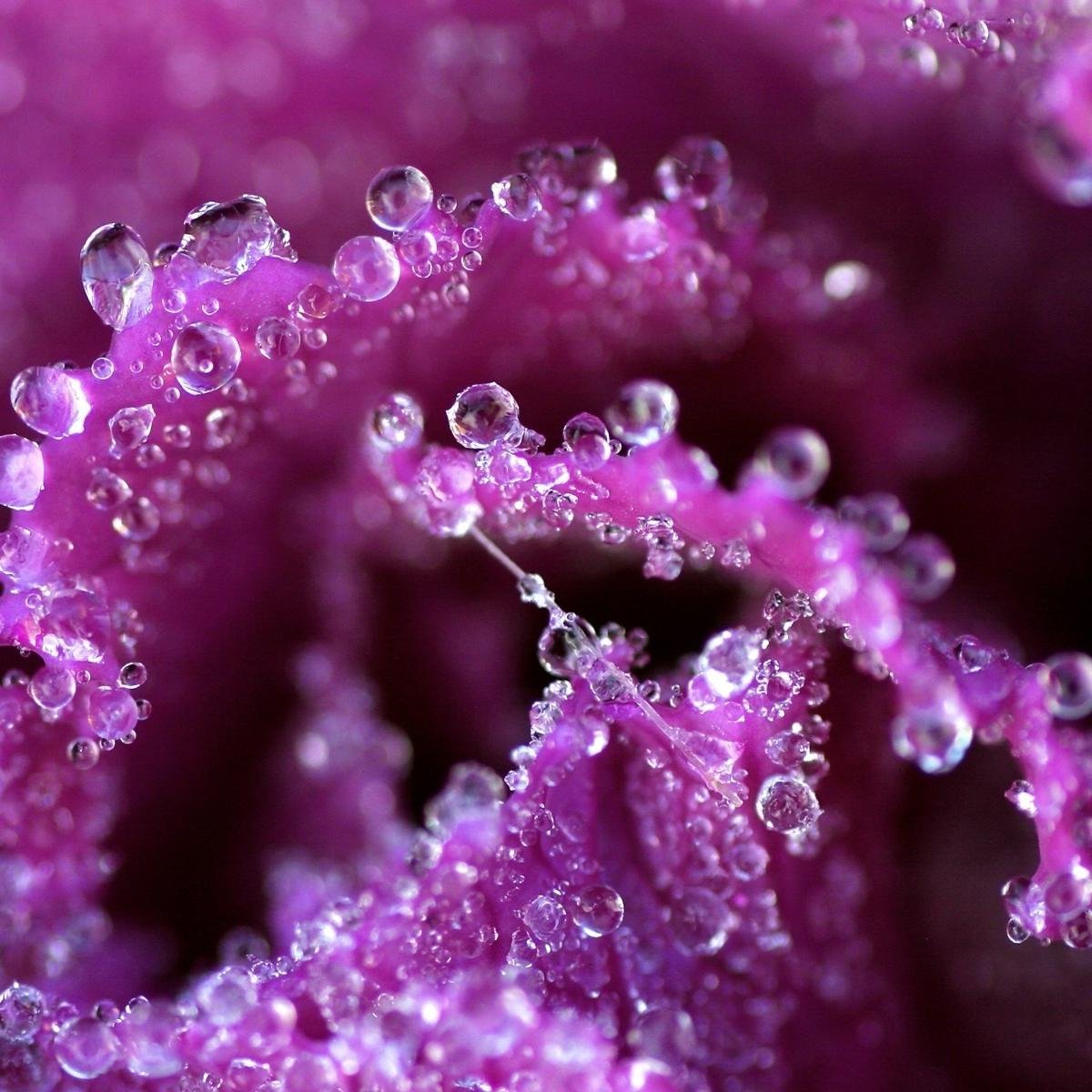 Lavender Health Alberton is a Company Based in Alberton. We strive to give our clients the best service possible and our consultants the best we have!