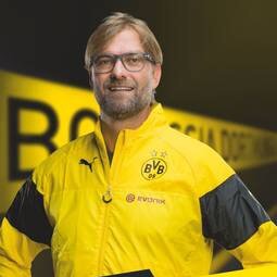 3 BVB 3