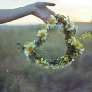insta: shoosh_1186
