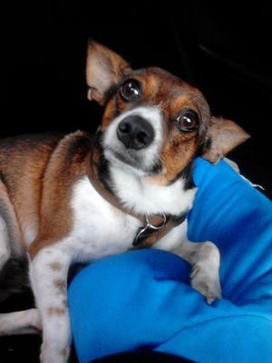 Alejanhursu's profile picture. Tsu. Informática-Abogado-Prevencionista-Defensora de los animales-Rockera-Deportista y amante del Lado Oscuro