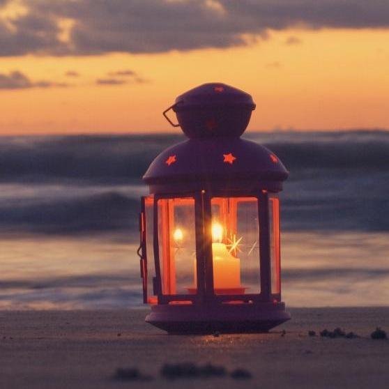 “The ability to observe without evaluating is the highest form of intelligence.”                   
 Jiddu Krishnamurti