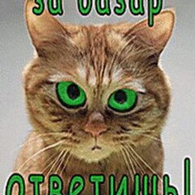 за базар ответишь картинки прикольные керхер