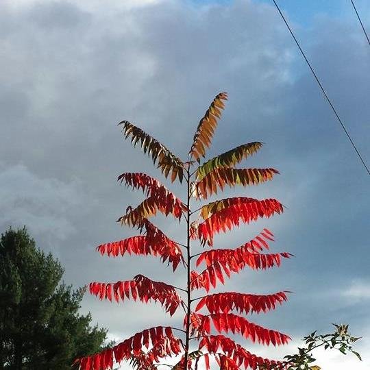 deb_durant's profile picture. 