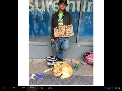 DudaaSantAnna's profile picture. Never say never and believe because if God put something in your heart it's because you can do it! Belieber