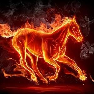 生而为义，能尽其力，死亦无憾，死亦无疚，可谓自由。——方舟子