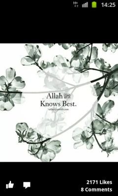 tabbasum86's profile picture. 