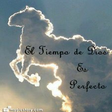 AlexanderIG07's profile picture. 