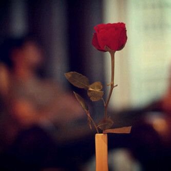 ‏فرحھ  سعآدھ  بسمھ  عآفيھ  يَ جعلھـآ عنكم وعنـي مَ : تغيب.♡