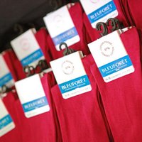 BLEUFORÊT (@bleuforet) 's Twitter Profile