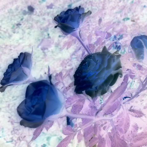 Depressedsouth's profile picture. I express myself through my words, fighting depression. This acct is a way I can express my thoughts without judgement.