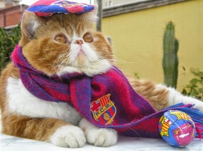 001714's profile picture. 