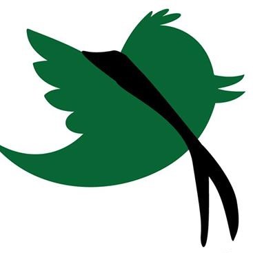 agescitodi1's profile picture. 