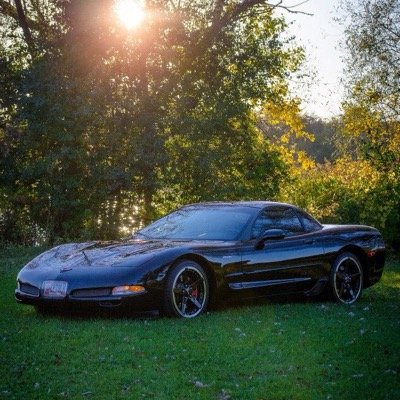 curtemtff's profile picture. 