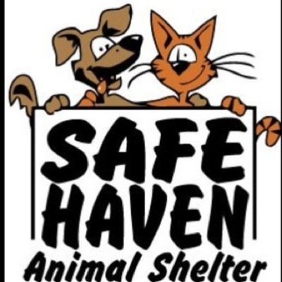This page is ran from a group of Century students! Please donate to Safe Haven animal shelter. If you're interested, email DonateNowSH@gmail.com