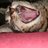 a25547699's profile image
