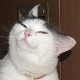 soakvidyabox's profile picture. 