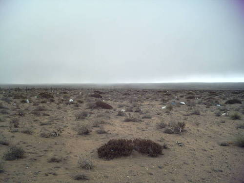 sasol31's profile picture. 