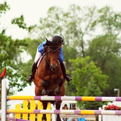 The good and bad feels of an equestrian trying to live in the outside world