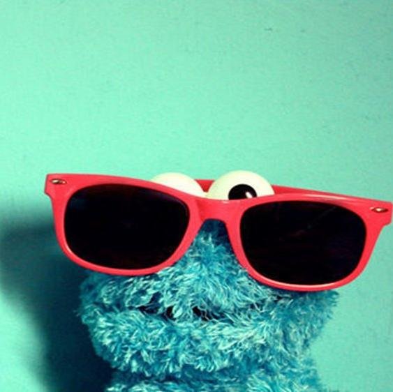 sniffmyspeed's profile picture. 