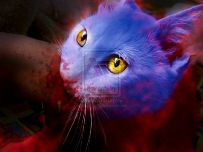 Red Lantern Dex-Starr. Fiercest soldier of the Red Lantern Corps, and always a loyal soldier of Atrocitus.  #HTTB #GoodKitty