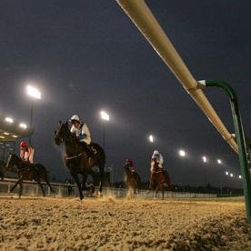 horse racing