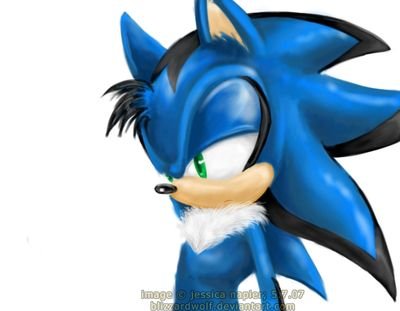 i'm Exel the hedgehog nuff said... #taken by @I_love_music_16